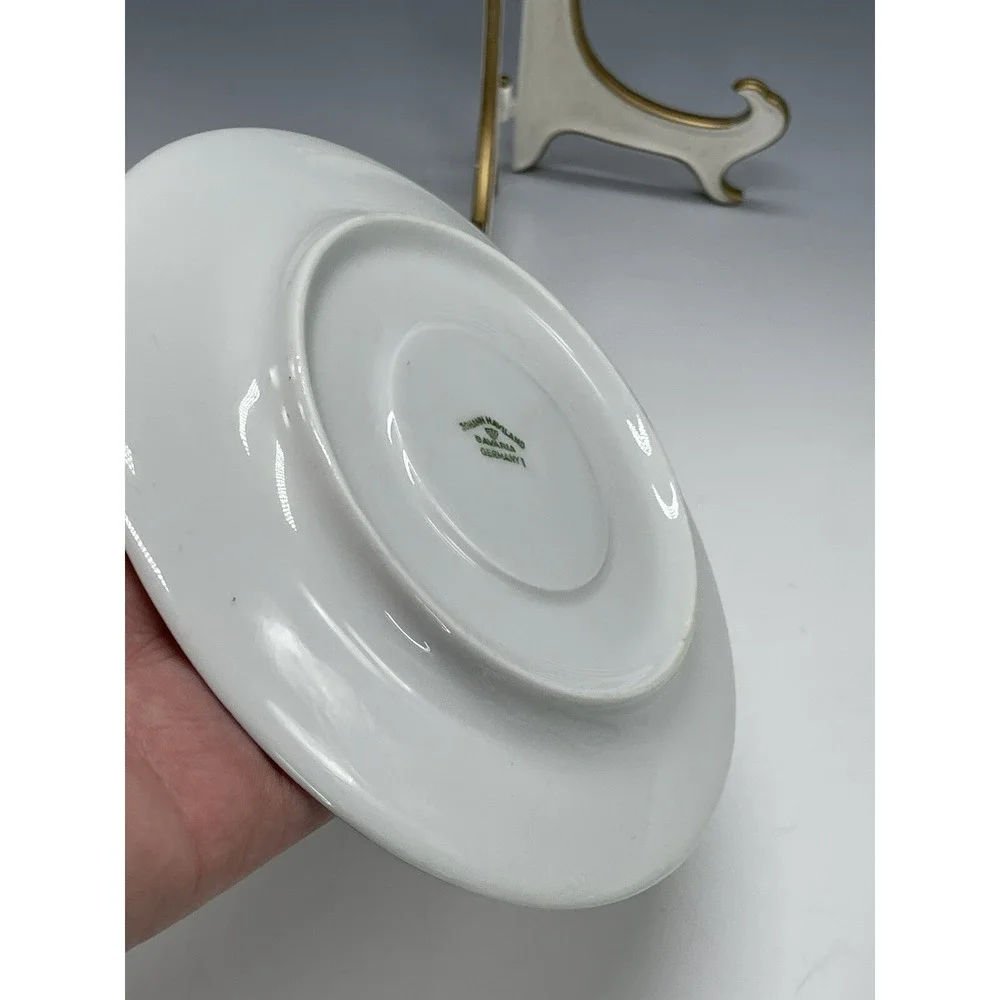 Johann Haviland FOREVER SPRING Tea Cup Saucer Only Bavaria Germany‎ Vintage